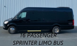 16 Passenger Sprinter Van